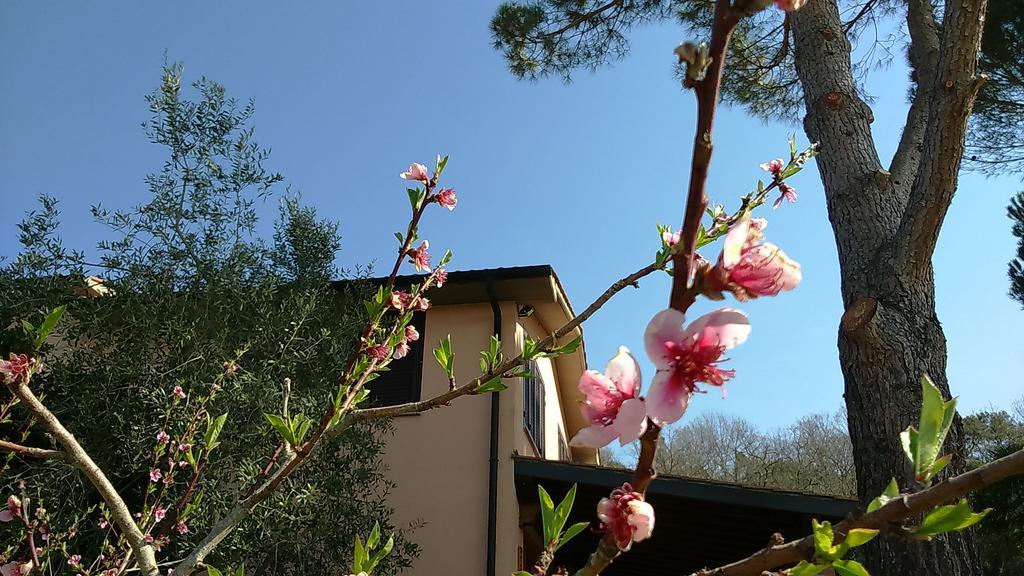 Agriturismo Podere Borgognano Massa Marittima Exterior foto