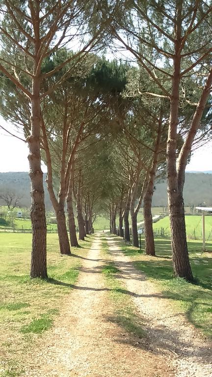 Agriturismo Podere Borgognano Massa Marittima Exterior foto
