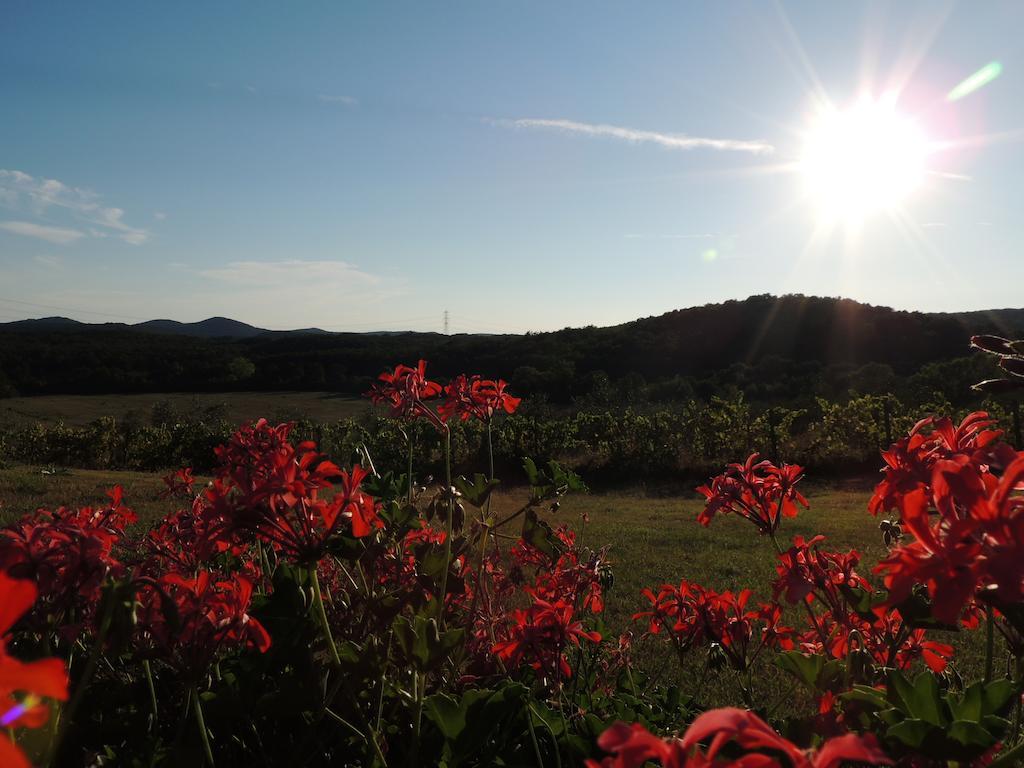 Agriturismo Podere Borgognano Massa Marittima Exterior foto