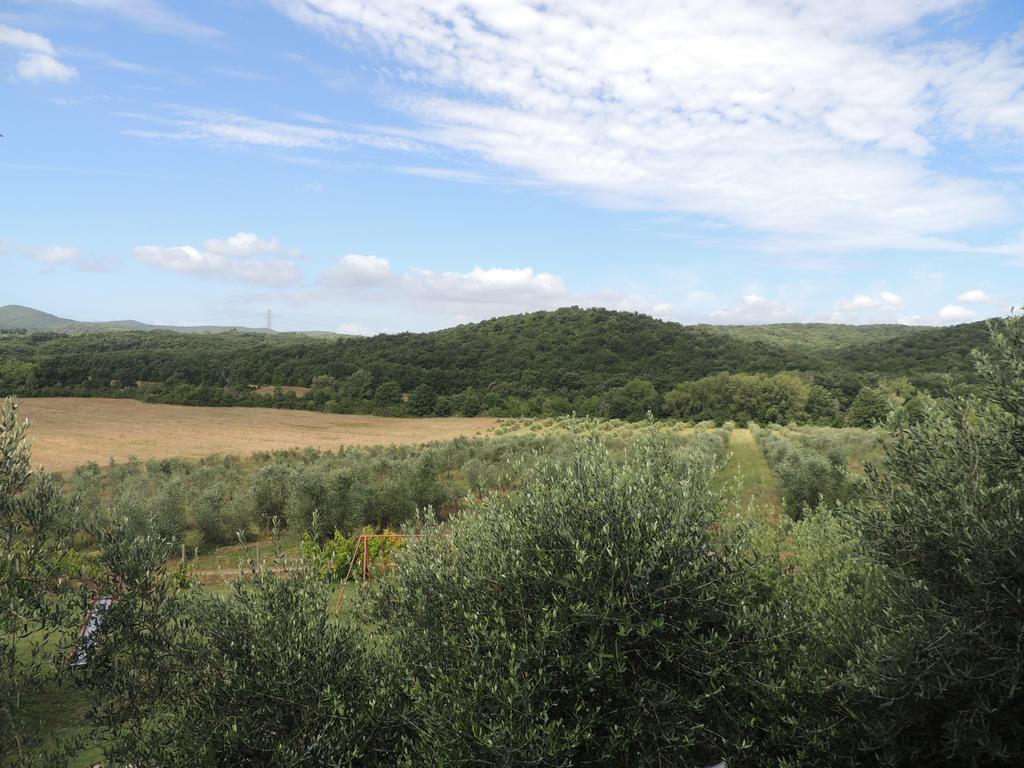 Agriturismo Podere Borgognano Massa Marittima Quarto foto